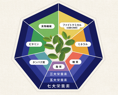 f:id:p7primula:20190403162108p:plain f:id:p7primula:20190403162108p:plain