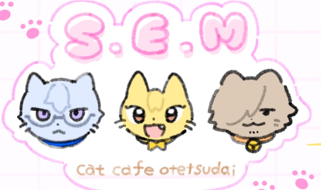f:id:p_315:20240615182204j:image