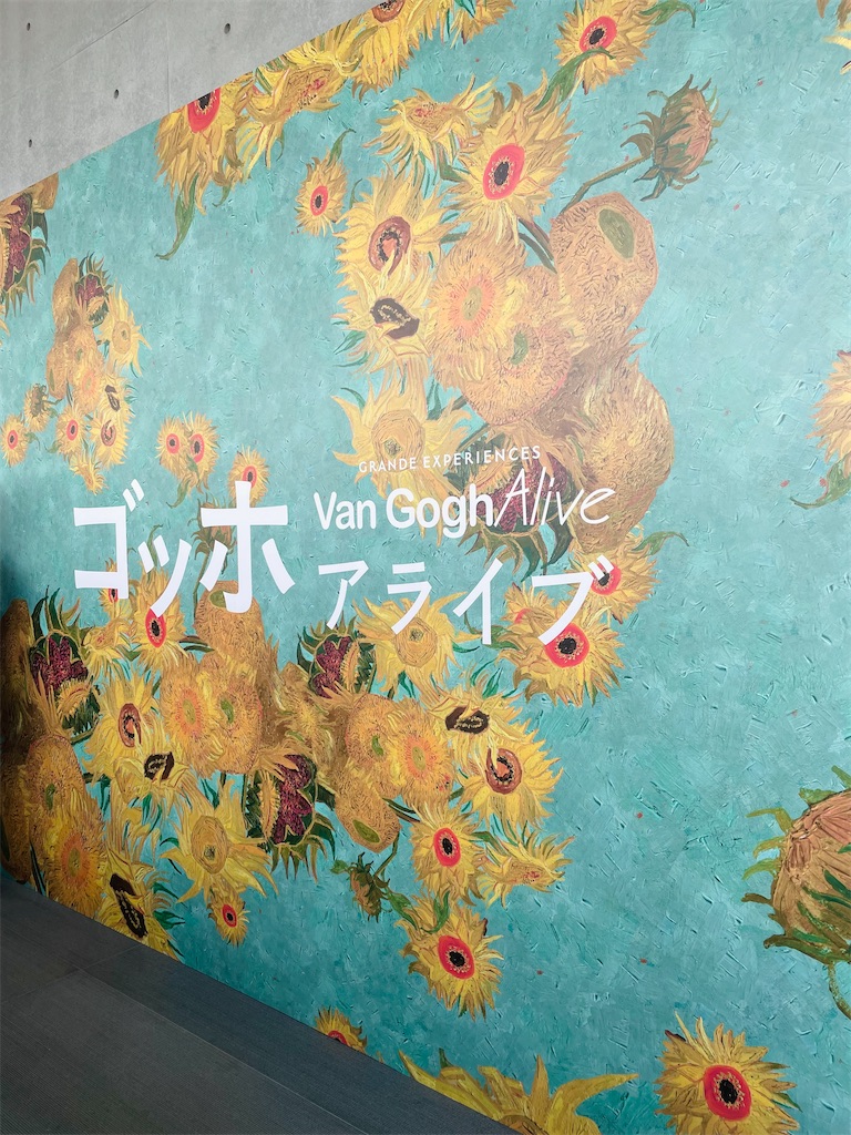 f:id:p_315:20250222003235j:image