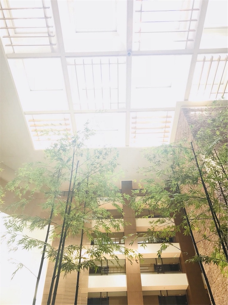 f:id:p_orepore:20190222215251j:image f:id:p_orepore:20190222215251j:image