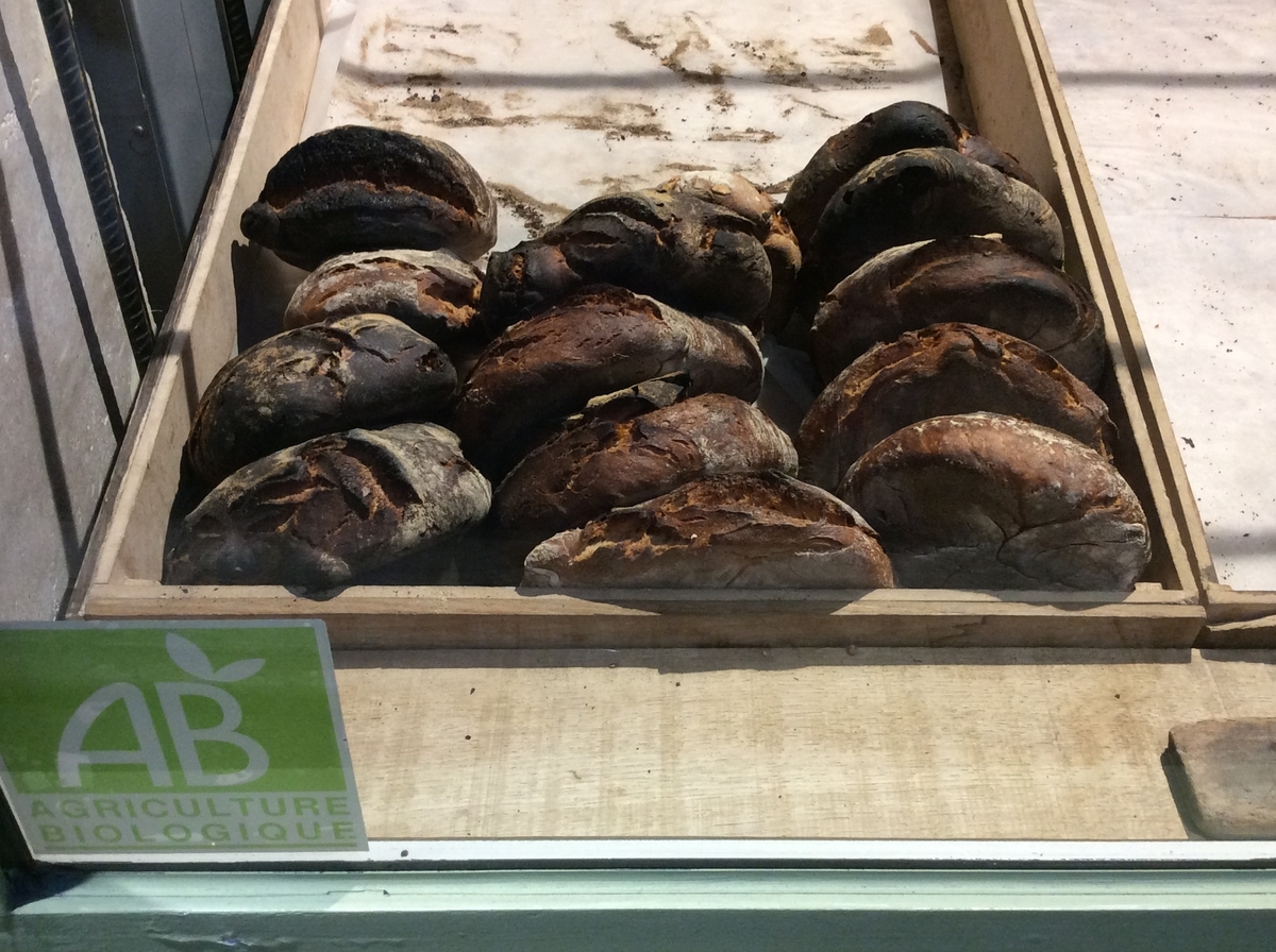 f:id:p_p_paris:20190404222612j:plain f:id:p_p_paris:20190404222612j:plain