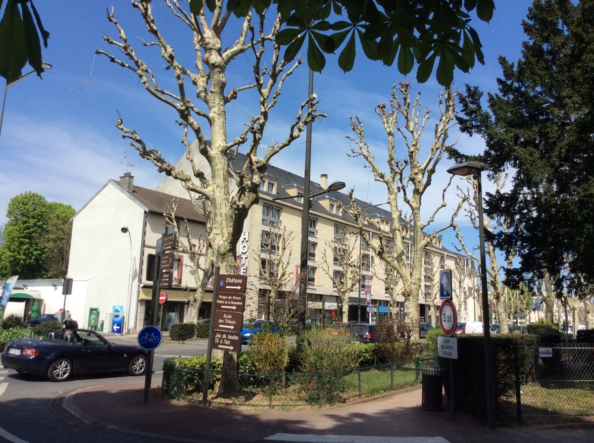 f:id:p_p_paris:20190611113624j:plain f:id:p_p_paris:20190611113624j:plain