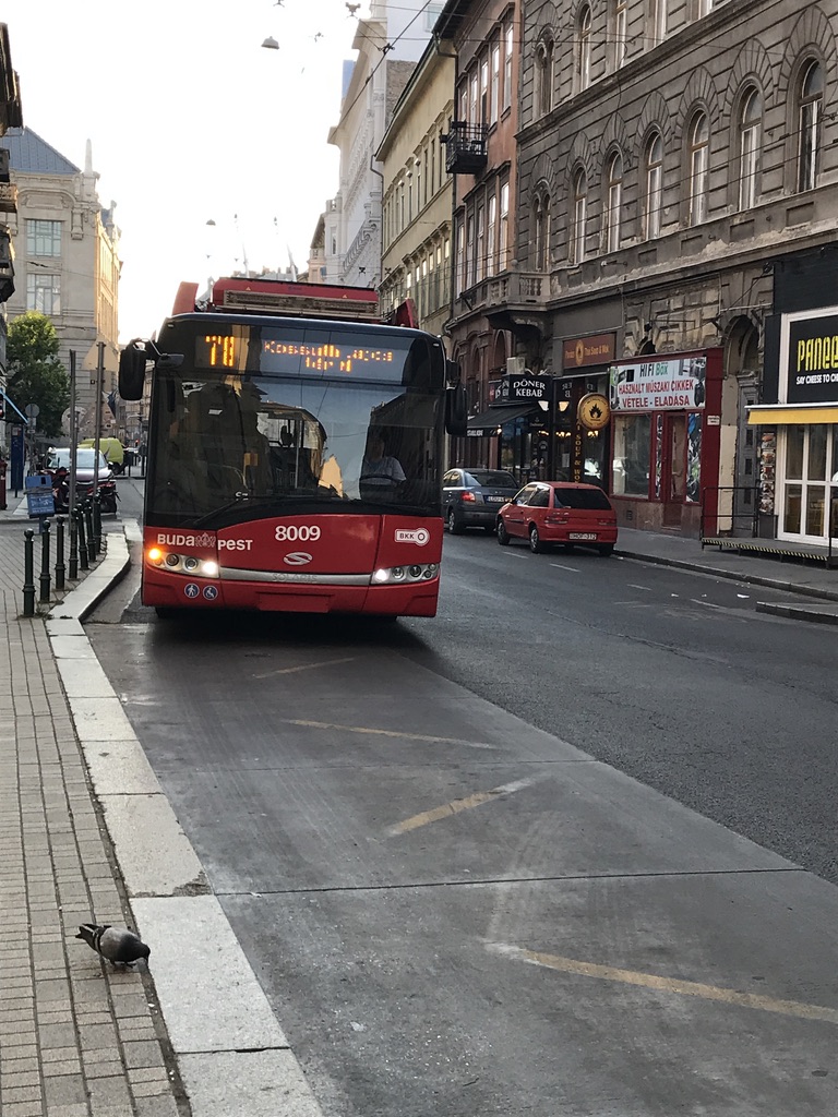 f:id:p_p_paris:20191019170057j:plain f:id:p_p_paris:20191019170057j:plain