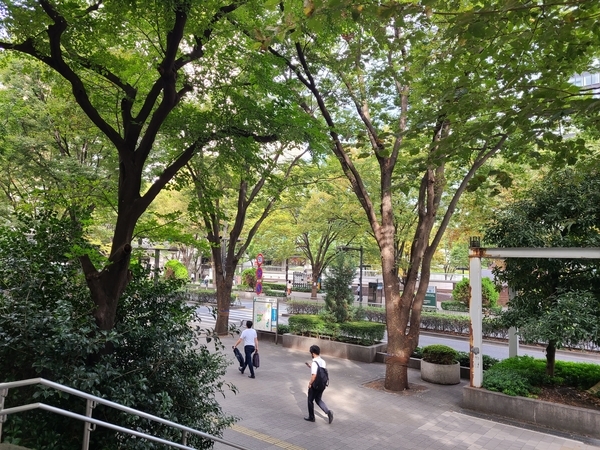 f:id:p_shirokuma:20210930082143j:image