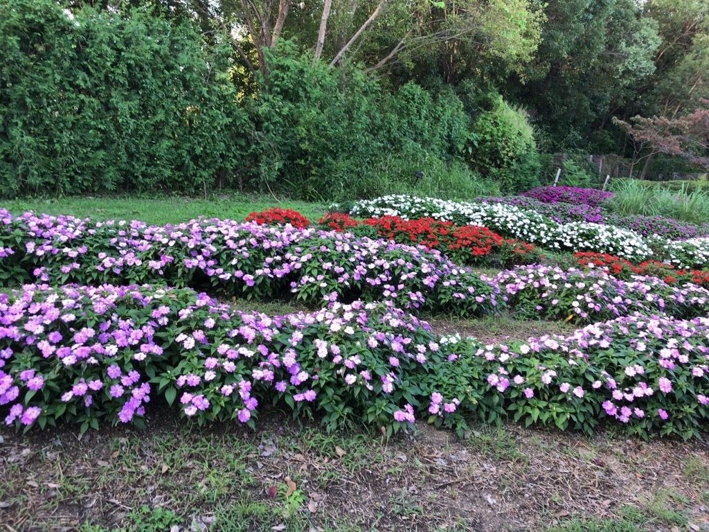 馬見丘陵公園 馬見丘陵公園フラワーパーク