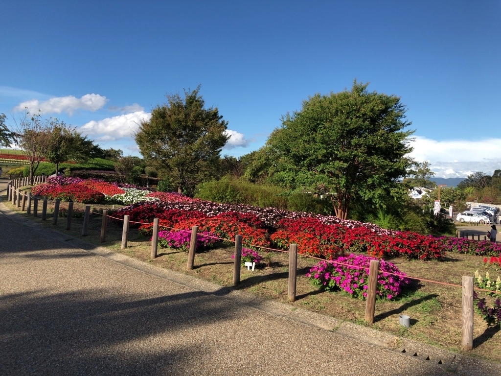 馬見丘陵公園 馬見丘陵公園 フラワーパーク