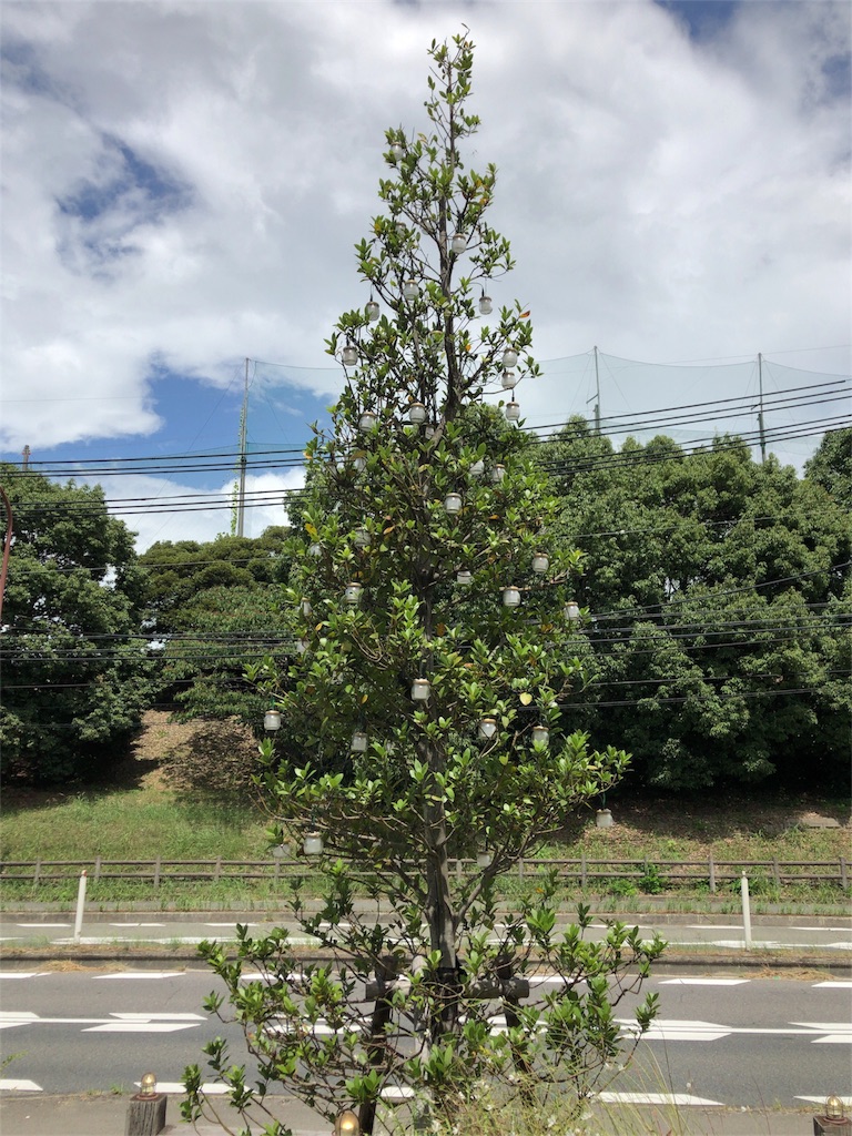 f:id:pa-chu:20181018204857j:image f:id:pa-chu:20181018204857j:image