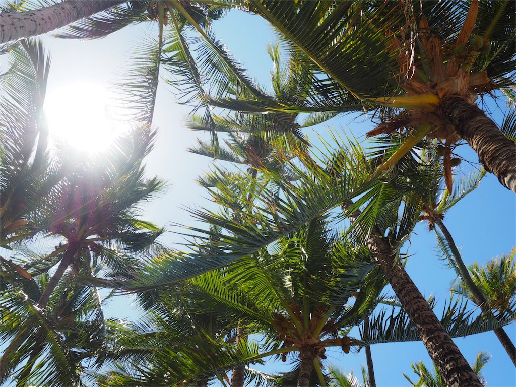 f:id:pa_ko:20171004200338j:image