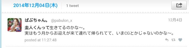 f:id:pabulon_x:20161219190443j:image