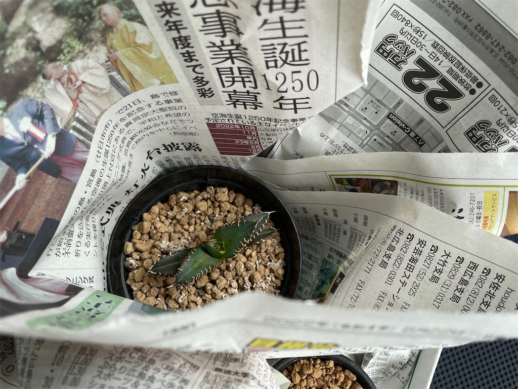 f:id:pacchy:20221017001013j:image
