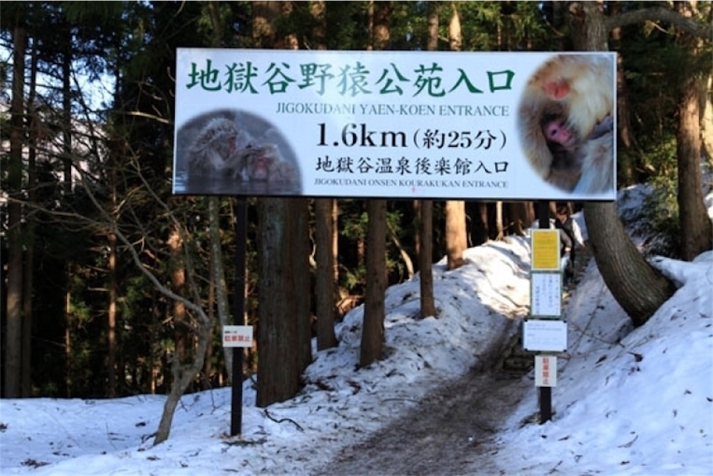 f:id:pace3710:20191128052509j:image
