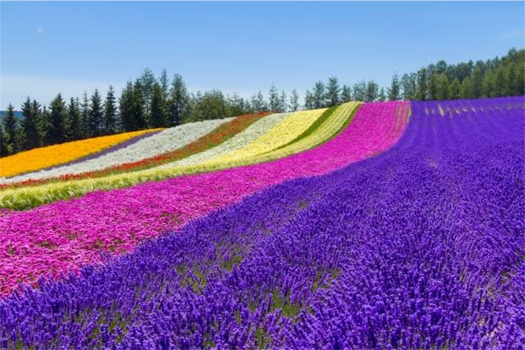 f:id:pace3710:20191128175509j:image
