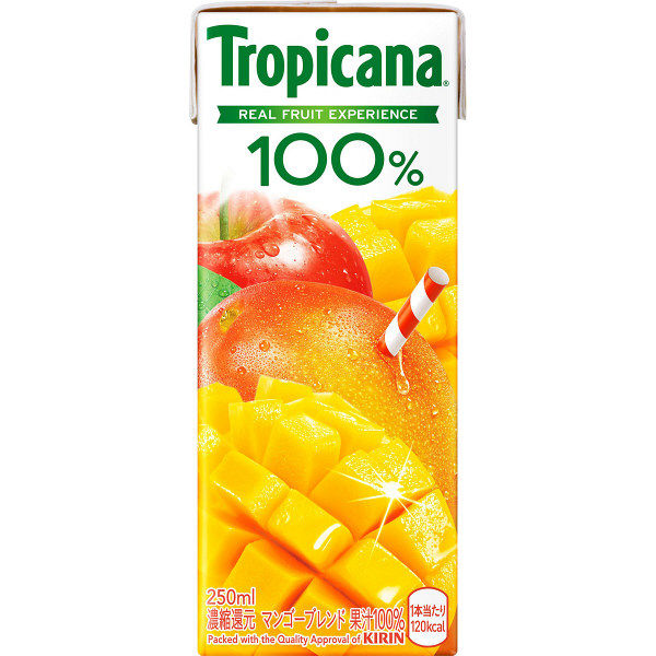 f:id:pachamama-earth:20200612204619j:plain f:id:pachamama-earth:20200612204619j:plain