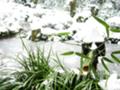 20050101094409