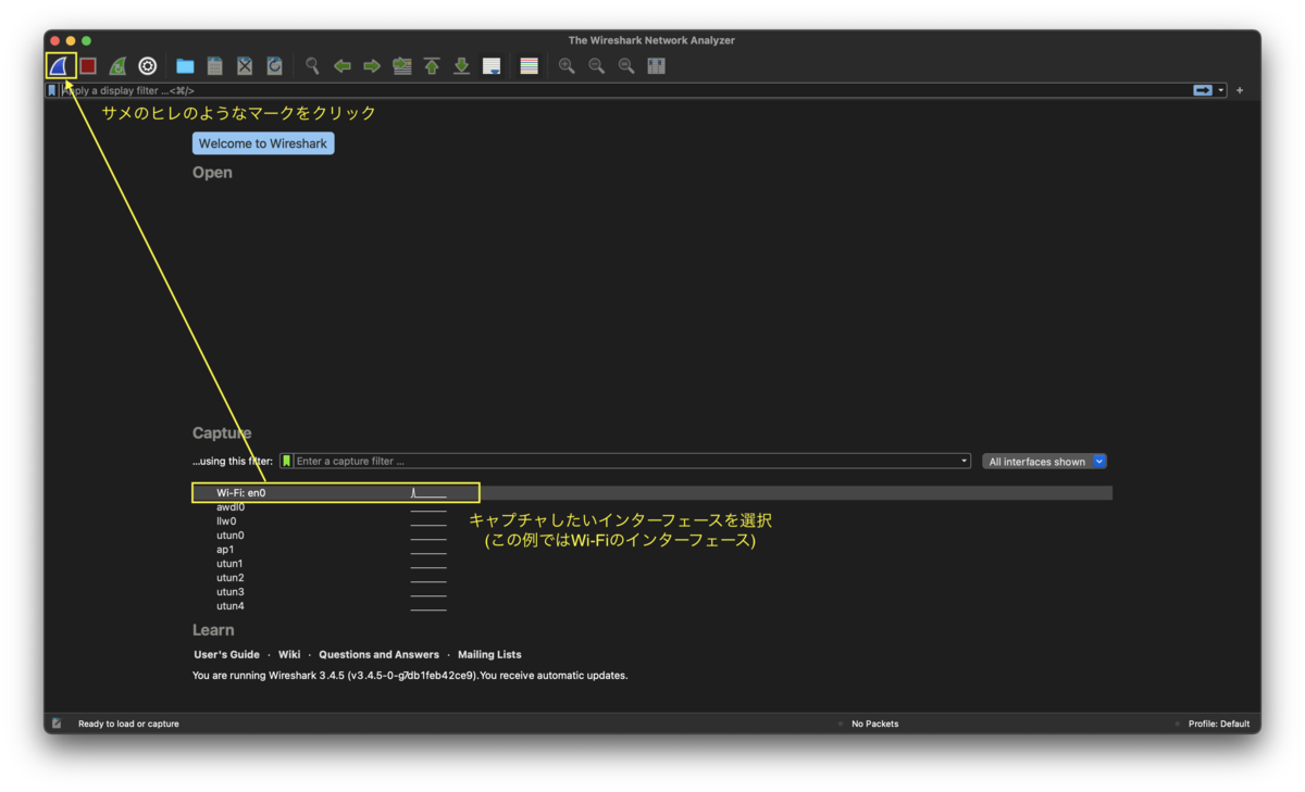 f:id:packet_analysis:20210508154241p:plain