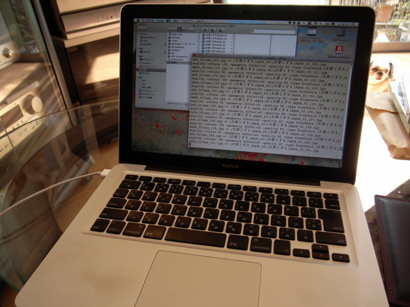 f:id:packirara:20100313132906j:image:w300 f:id:packirara:20100313132906j:image:w300