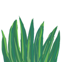 f:id:pacochi:20181204000411p:image:w20,h20 f:id:pacochi:20181204000411p:image:w20,h20