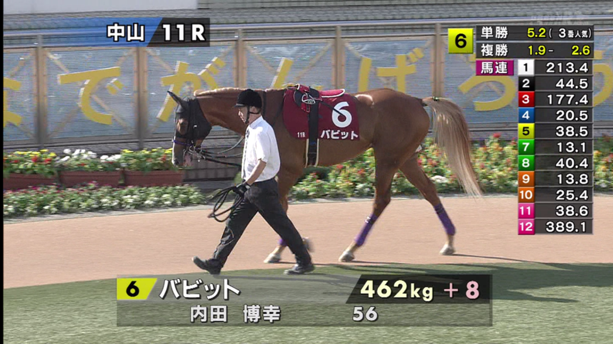 f:id:paddock_watcher:20201012105131p:plain