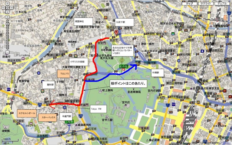 お勧めデートコース 千鳥ヶ淵のお花見コース 東京生まれhouse Music育ち