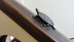 f:id:paffue:20110210143710j:image