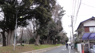 f:id:paffue:20110220083352j:image