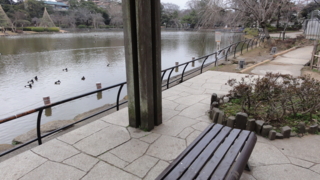 f:id:paffue:20110220085636j:image