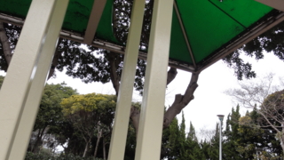 f:id:paffue:20110220110014j:image f:id:paffue:20110220110014j:image