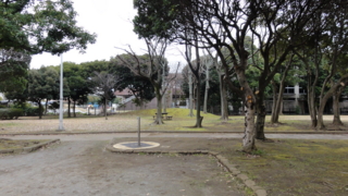 f:id:paffue:20110220111608j:image f:id:paffue:20110220111608j:image