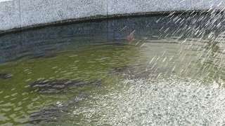 f:id:paffue:20110303023050j:image