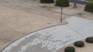 f:id:paffue:20110311214053j:image