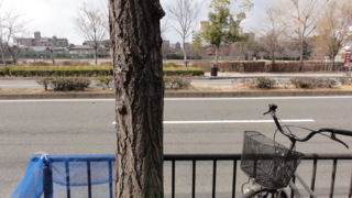 f:id:paffue:20110316233130j:image