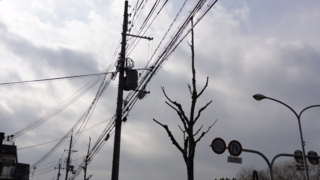 f:id:paffue:20110316233420j:image