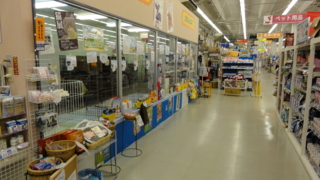 f:id:paffue:20110316233805j:image