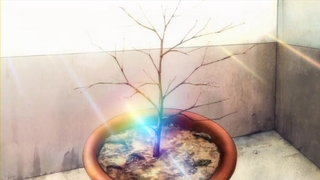 f:id:paffue:20110504104801j:image