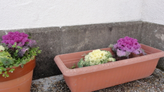 f:id:paffue:20110504104816j:image f:id:paffue:20110504104816j:image