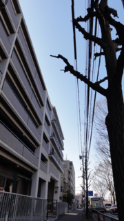 f:id:paffue:20110504115327j:image