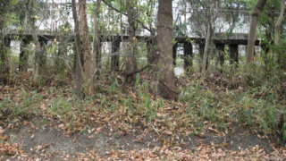 f:id:paffue:20110514153324j:image f:id:paffue:20110514153324j:image