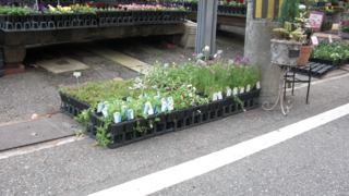 f:id:paffue:20110514153334j:image f:id:paffue:20110514153334j:image