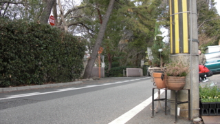 f:id:paffue:20110514153339j:image f:id:paffue:20110514153339j:image