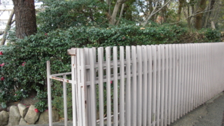 f:id:paffue:20110514153340j:image f:id:paffue:20110514153340j:image