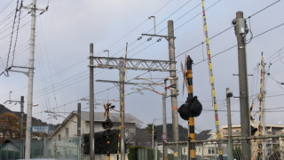 f:id:paffue:20110514153342j:image f:id:paffue:20110514153342j:image