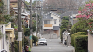f:id:paffue:20110529193227j:image