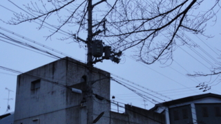 f:id:paffue:20110604215802j:image