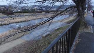 f:id:paffue:20110604215803j:image