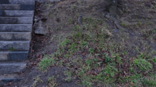 f:id:paffue:20110604215806j:image