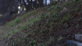 f:id:paffue:20110604215807j:image