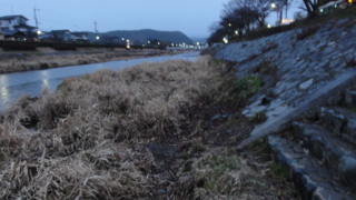 f:id:paffue:20110604215811j:image