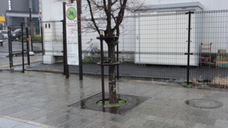 f:id:paffue:20110612114150j:image