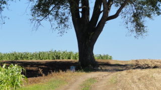 f:id:paffue:20110829200650j:image f:id:paffue:20110829200650j:image