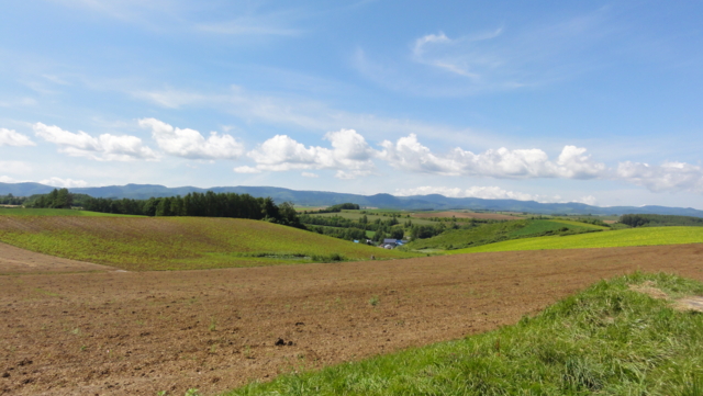 f:id:paffue:20110829203417j:image f:id:paffue:20110829203417j:image